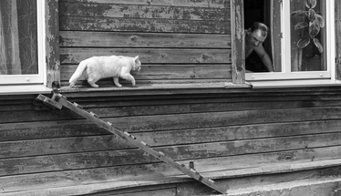 28. novembrī tiks atklāta fotokonkursa "Meklējot Pārdaugavu" izstāde un apbalvoti uzvarētāji