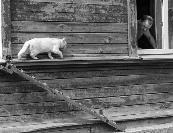 28. novembrī tiks atklāta fotokonkursa "Meklējot Pārdaugavu" izstāde un apbalvoti uzvarētāji