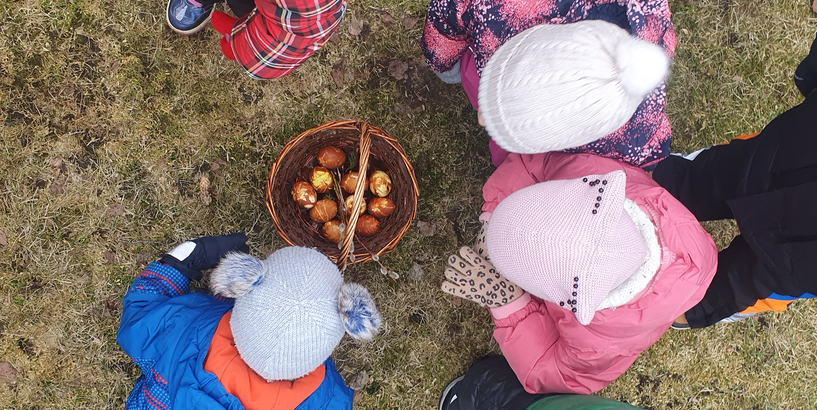 Bērni pēta grozā ieliktās sīpolu mizās krāsotās olas
