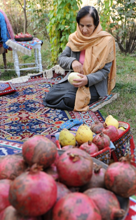 Sievietes Azerbaidžānā tin dziju tradicionālajai paklāju aušanai