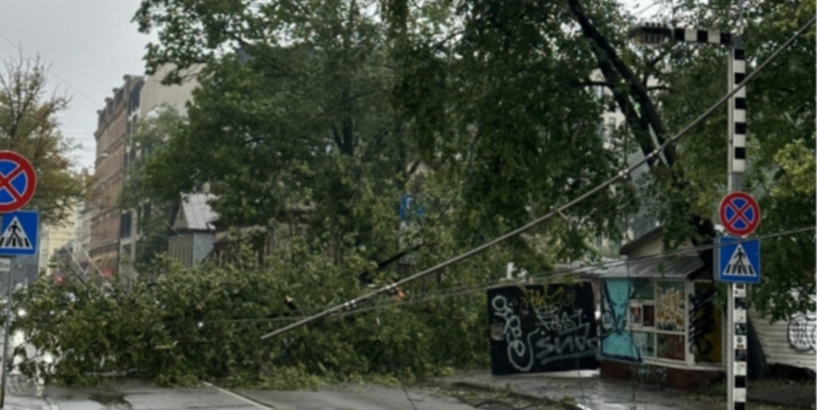 Vētra plosa Rīgu – simtiem nolauztu koku, bojāti īpašumi un applūdušas ielas; dienesti turpina glābšanas darbus