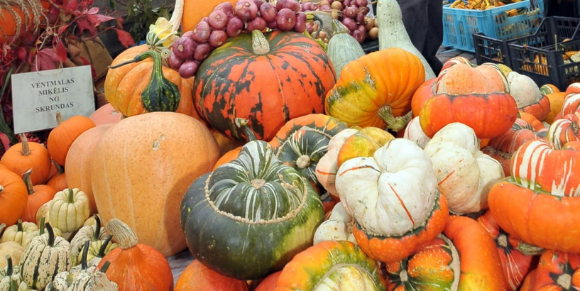  Aicina pieteikties tirdzniecībai tradicionālajā “Miķeļdienas gadatirgū”