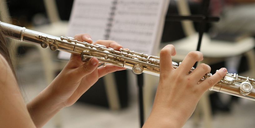 Aicina BJC “Daugmale” muzikālā studija "Gamma" - flautas spēles apguve
