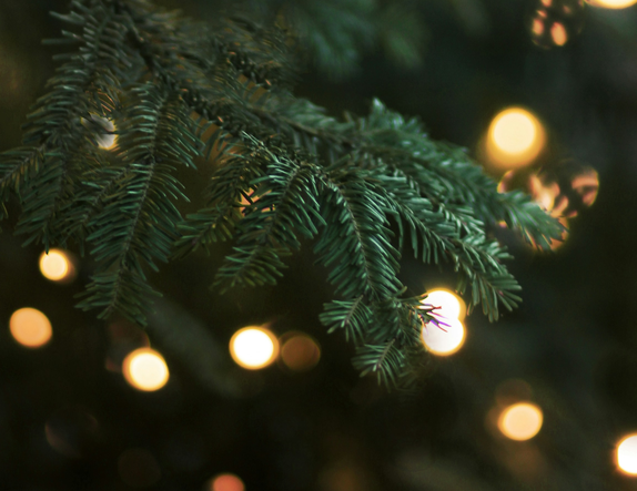 Otrajā adventē Rīgu pieskandinās dažādas koncertprogrammas 