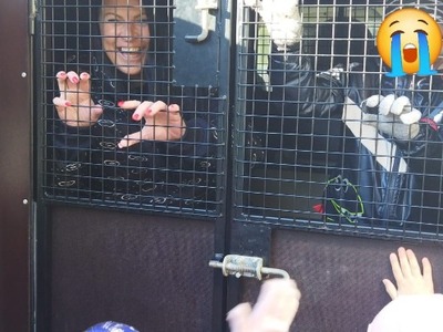 Policija R161PII8.jpg