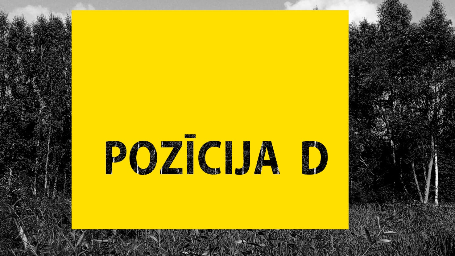 Mākslas centrs NOASS aicina uz mākslinieka Kirila Panteļejeva vides objekta "Pozīcija D" atklāšanu