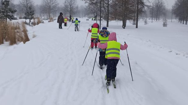 Rīgas pirmsskolas izglītības iestāžu aktivitātes īstenojot pirmsskolas izglītības programmu