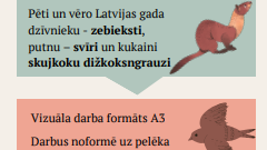 Konkurss Rīgas izglītības iestāžu audzēkņiem “Latvijas 2022. gada dzīvnieks, kukainis un putns”