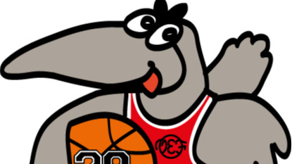 28. ALFRĒDA KRAUKĻA PIEMIŅAS TURNĪRS BASKETBOLĀ