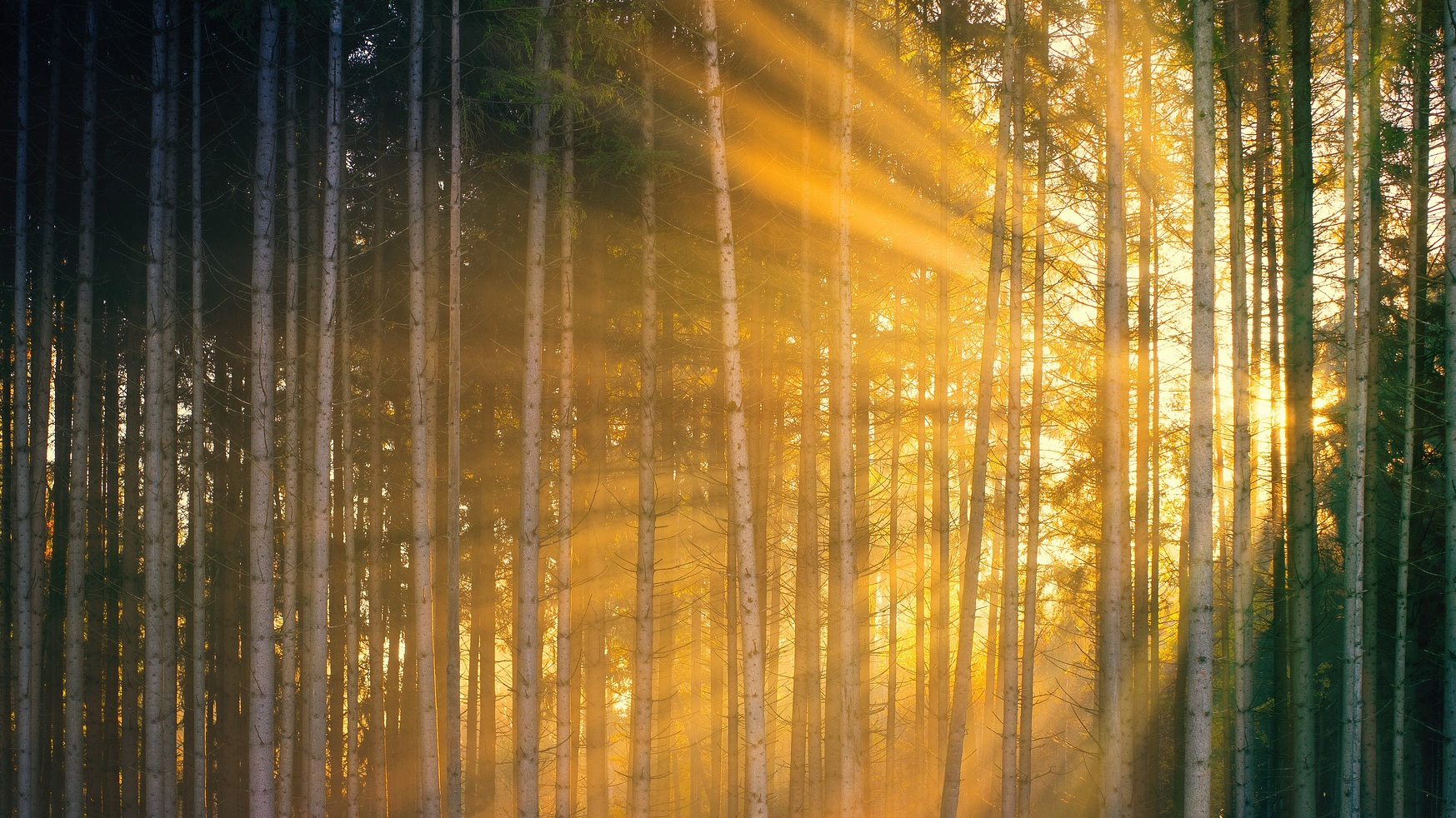 Aicina piedalīties Rīgas skolēnu foto konkursā “Gaisma”