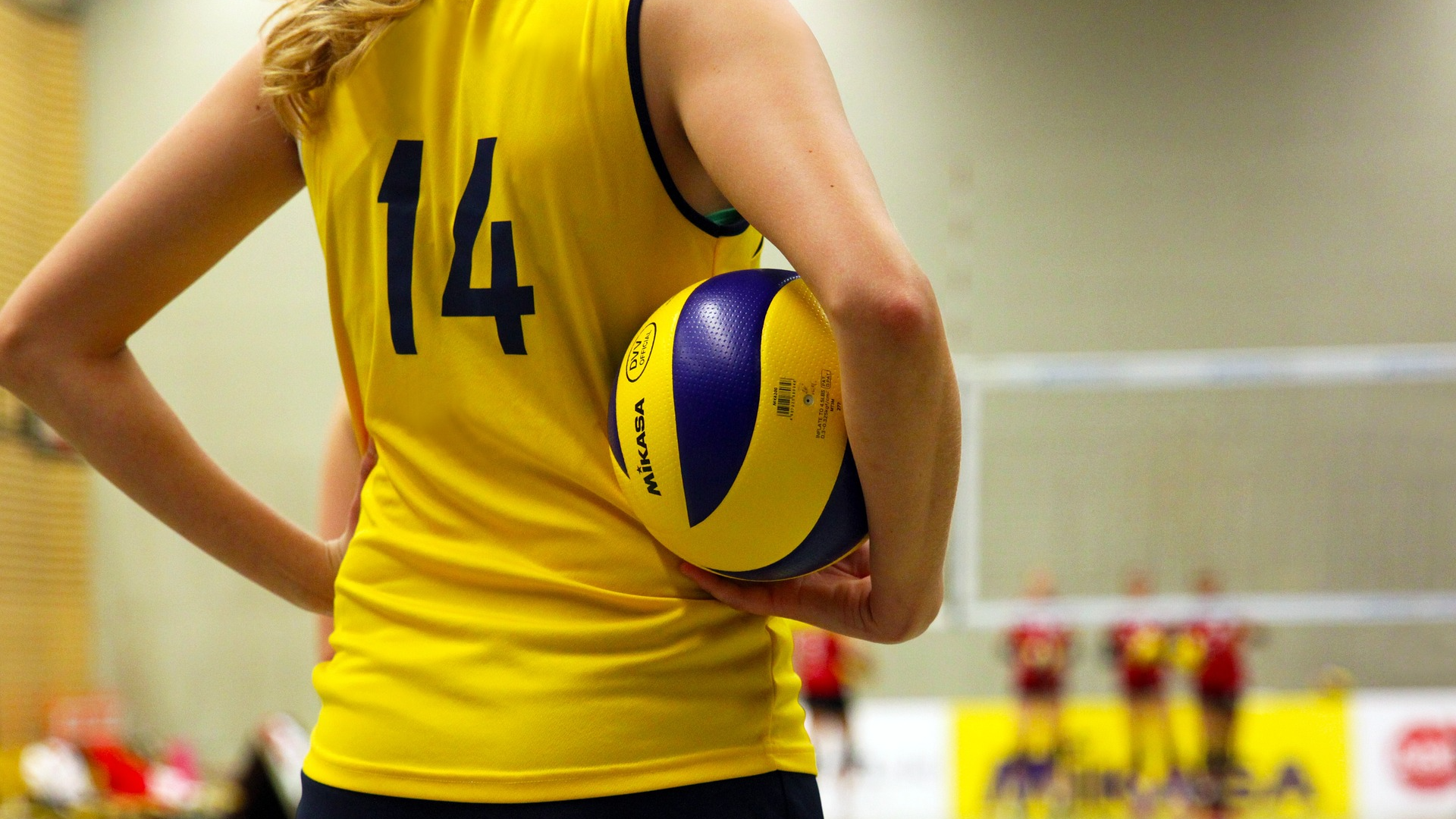 Līdzfinansējuma piešķiršanas kārtība sporta organizācijai, kura īsteno profesionālās ievirzes sporta izglītības programmas Rīgā