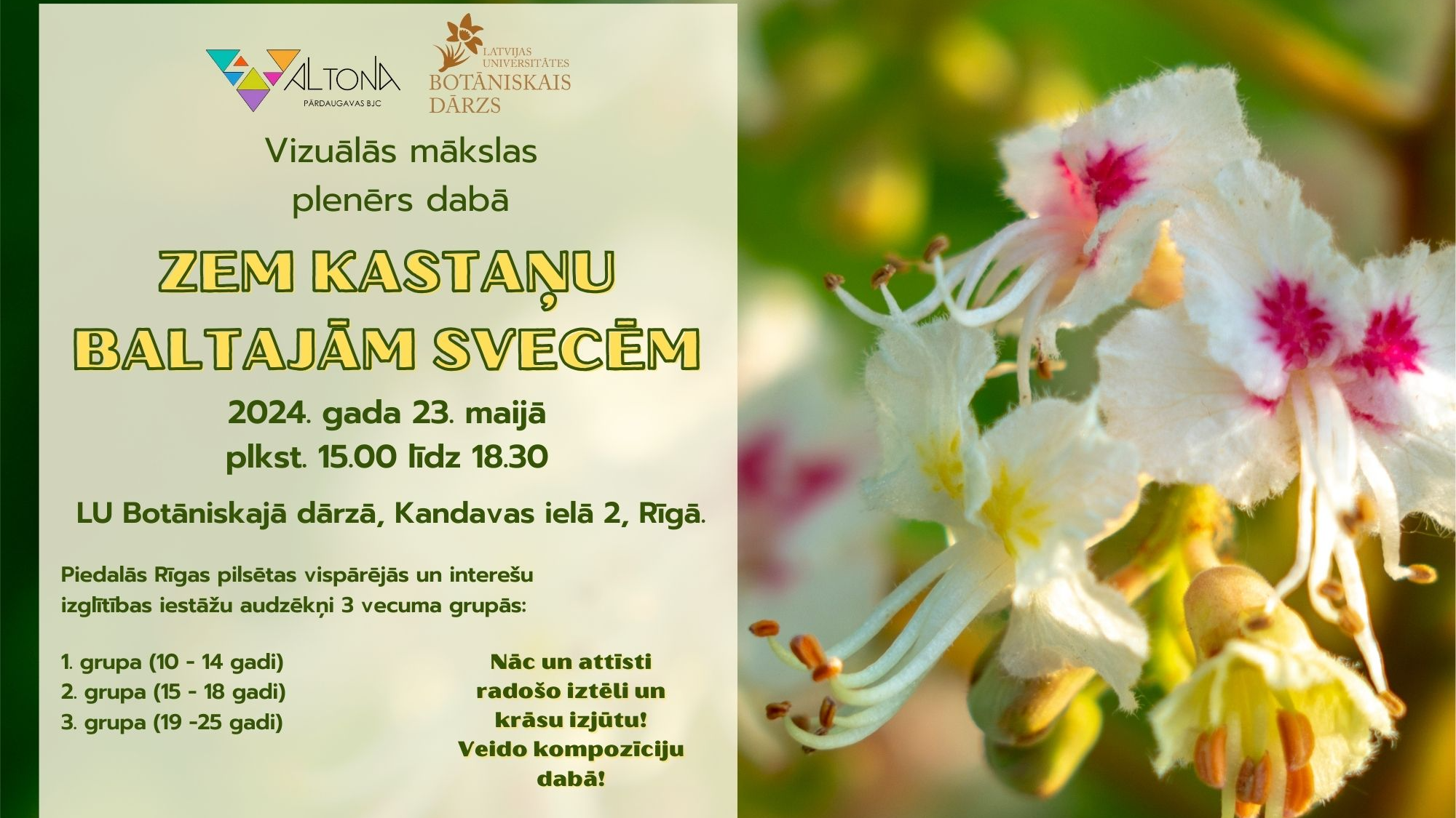Piesakies vizuālās mākslas plenēram “Zem kastaņu baltajām svecēm”!
