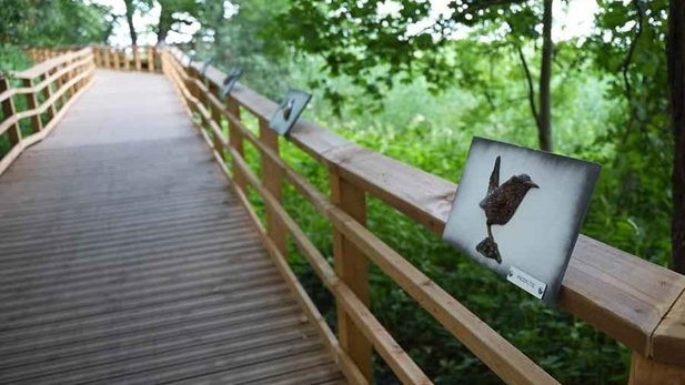 Pašvaldība Līdzdalības budžeta projektu konkursa rezultātā īstenos 11 projektus dažādās Rīgas apkaimēs