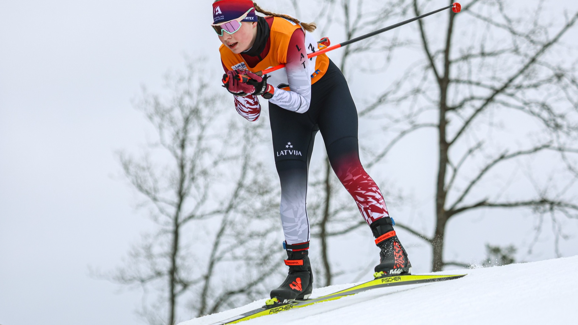 A.R.Zariņa