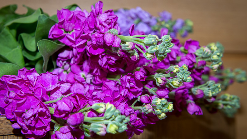 Rīdziniekiem pasniegs naudas balvas par augstiem sasniegumiem sportā