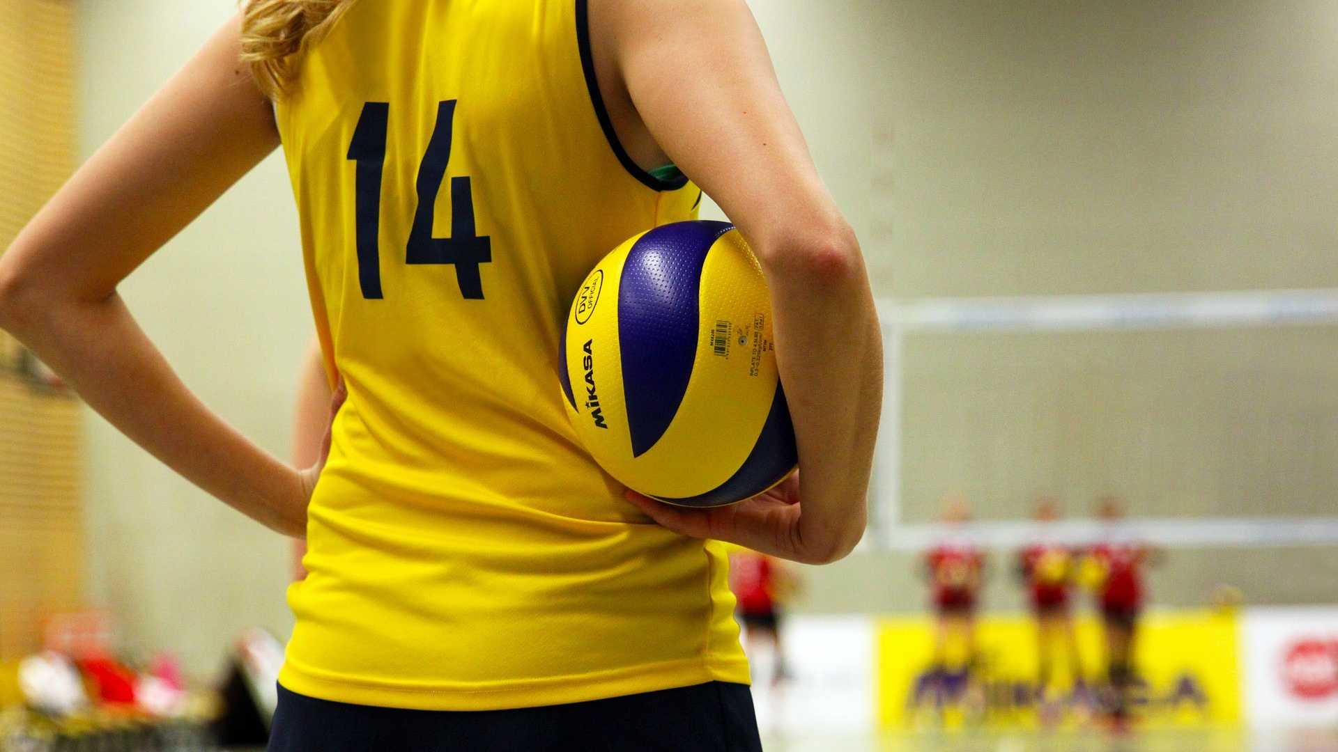 Līdzfinansējuma piešķiršanas kārtība sporta organizācijai, kura īsteno profesionālās ievirzes sporta izglītības programmas Rīgā