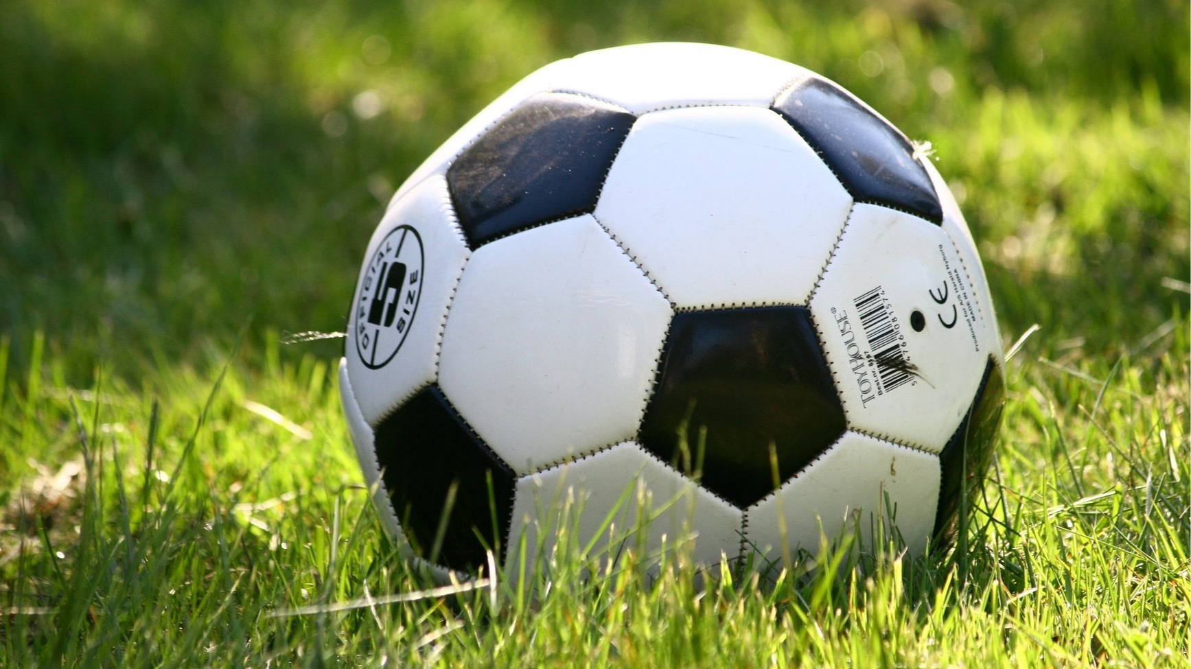 Kārtība Rīgas pilsētas nevalstisko sporta organizāciju sportistu un spēļu komandu atbalstam