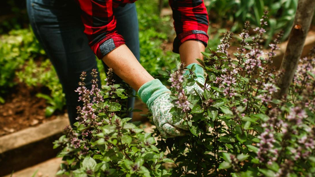 Izsludināts konkurss Rīgas valstspilsētas pašvaldības iestādēm līdzfinansējuma saņemšanai dalībai NVA programmā